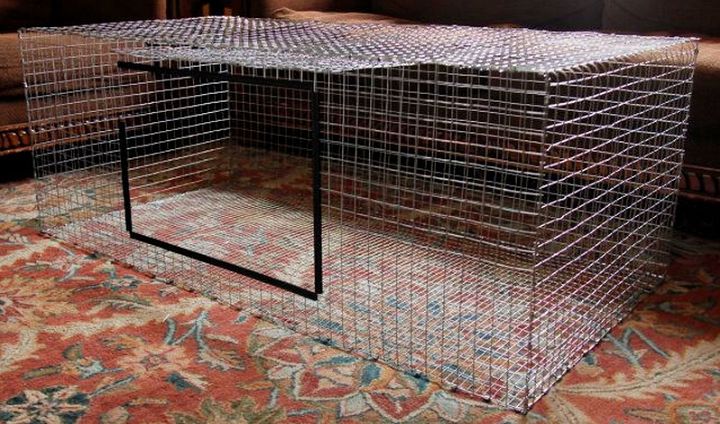 Rabbit Cages