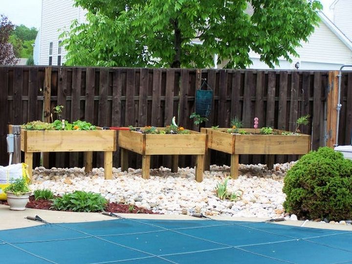 Raised Garden Bed 1