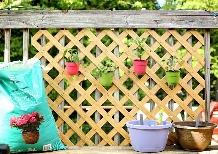 Simple DIY Space Saving Patio Garden