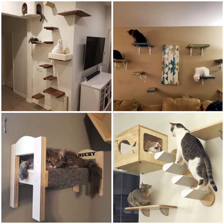 10 Simple DIY Cat Wall Ideas For Interior