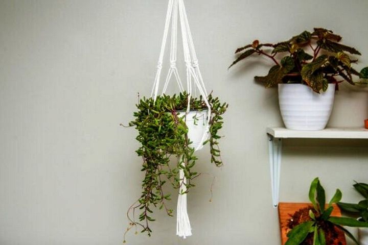 How To Make a Simple Macrame Plant Hanger