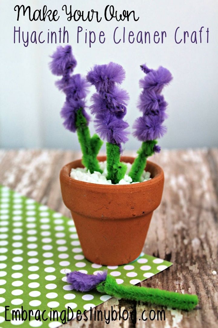 Make Your Own Hyacinth Pipe Cleaner Craft