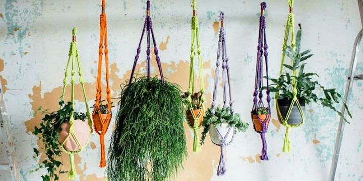 Plant Trend How To Make A Macrame Plant Hanger
