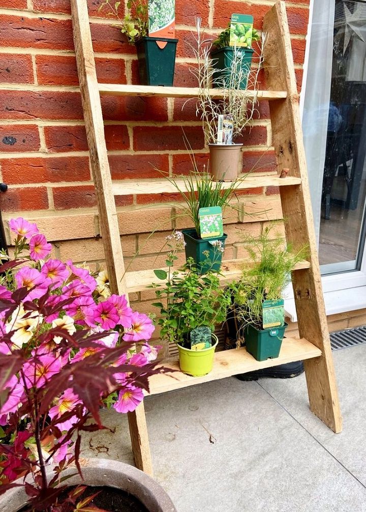 DIY Ladder Herb Shelf