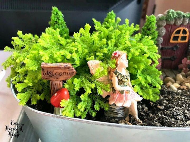 How To Make A Fairy Garden On A Budget