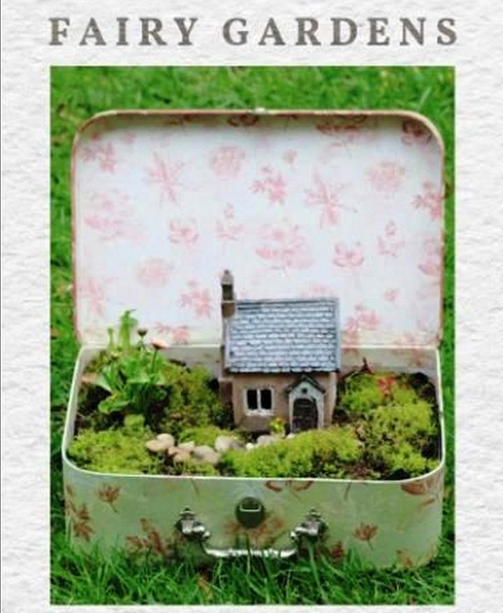 How to Make a Fairy Garden in an Old Suitcase