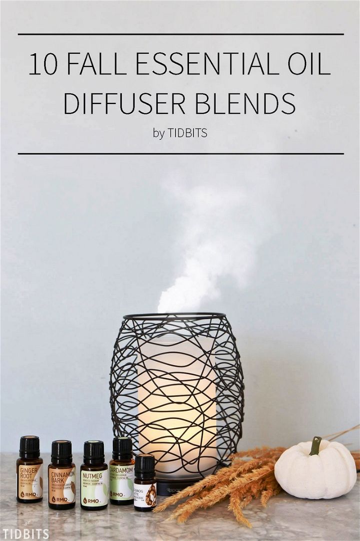 The Most Delightful 10 Fall Essential Oil Diffuser Blends