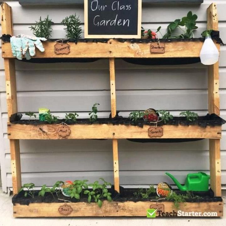 A Simple DIY Classroom Garden