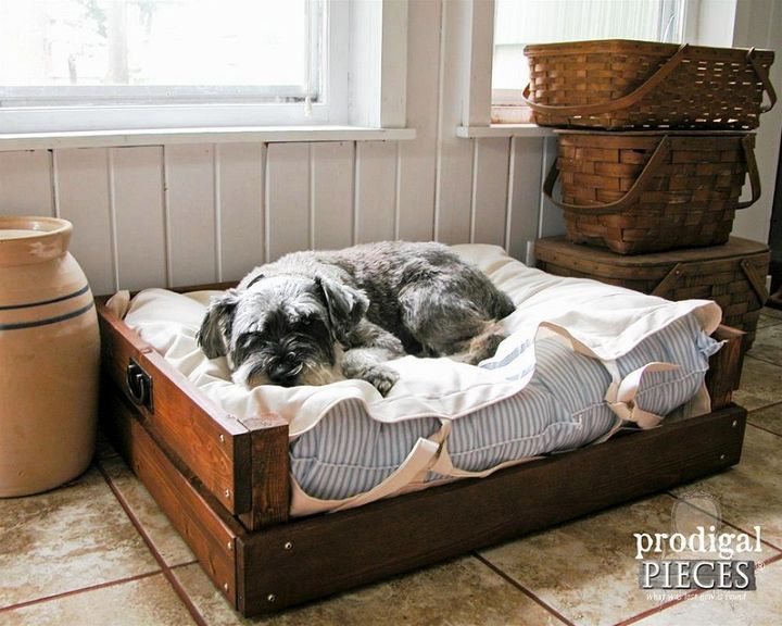 Build a Pet Bed