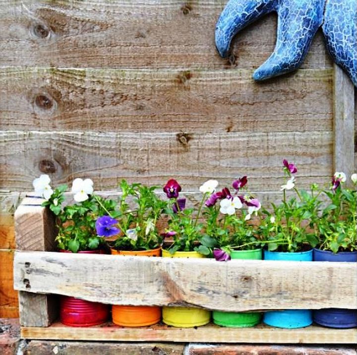 Colourful Tin Can Planters and Pallet Holder