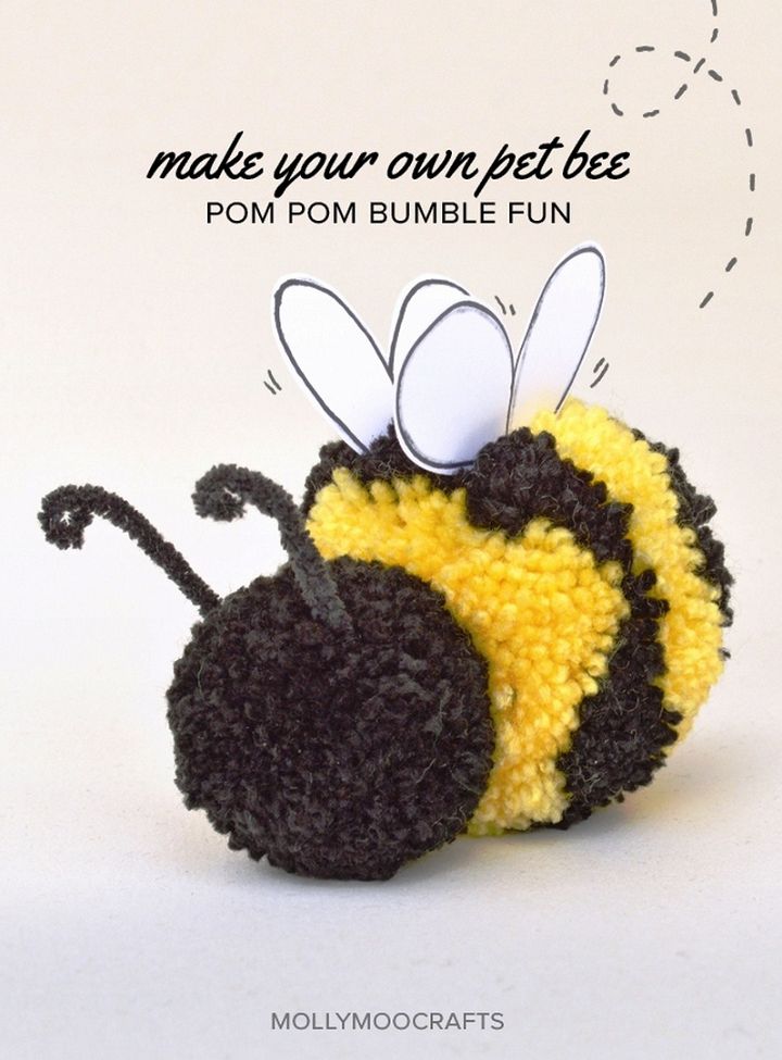 Cute Pom Pom Craft – My Pet Bee