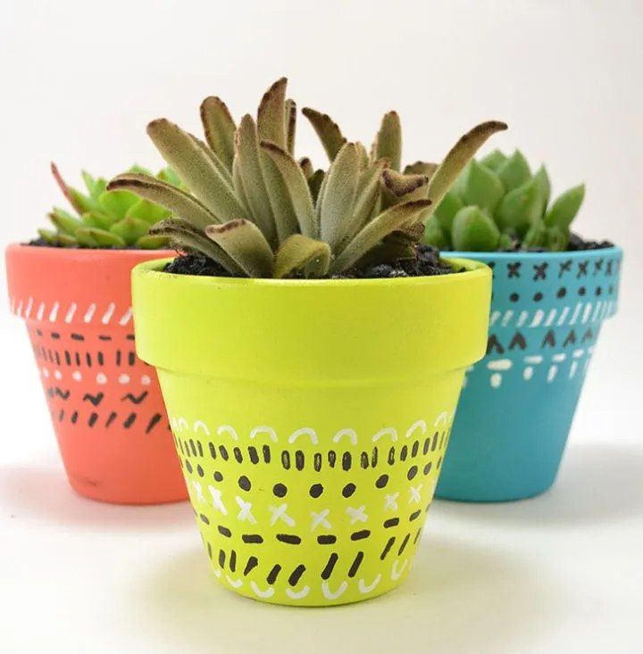 Colorful Painted Succulent Clay Pots