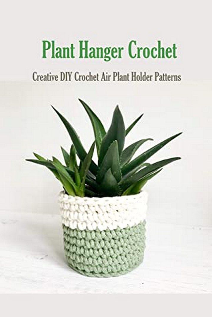 Crochet Air Plant Holder