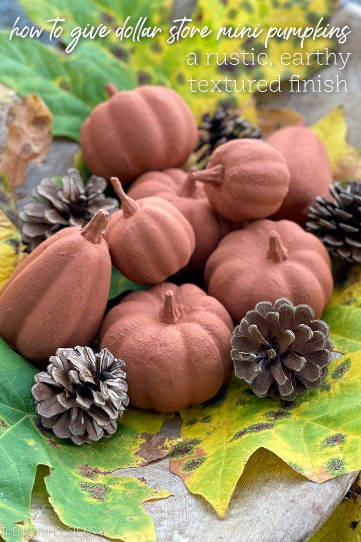 Faux Clay Pumpkins with Textured Terra Cotta Paint