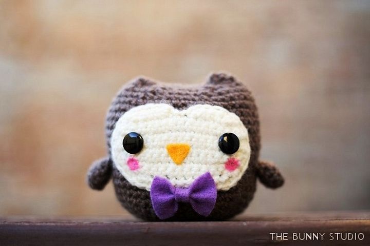 Free Crochet Pattern Owl Amigurumi