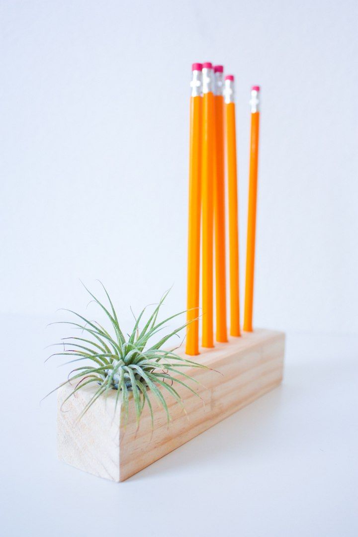 Wooden Air Plant Pencil Holder