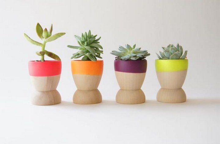 Color Dipped Mini Wooden Bowls Planters