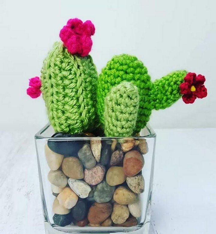 Crochet Cactus Home Decor