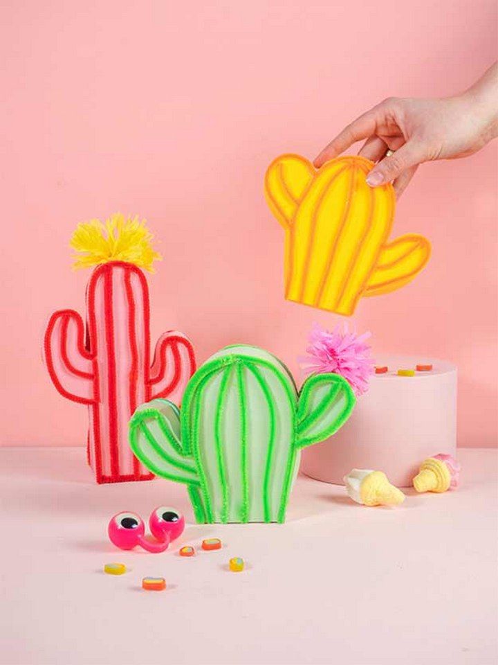 Cute Cactus Gift Boxes