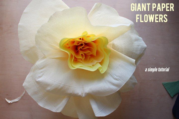 DIY Giant Paper Rose Flower 1