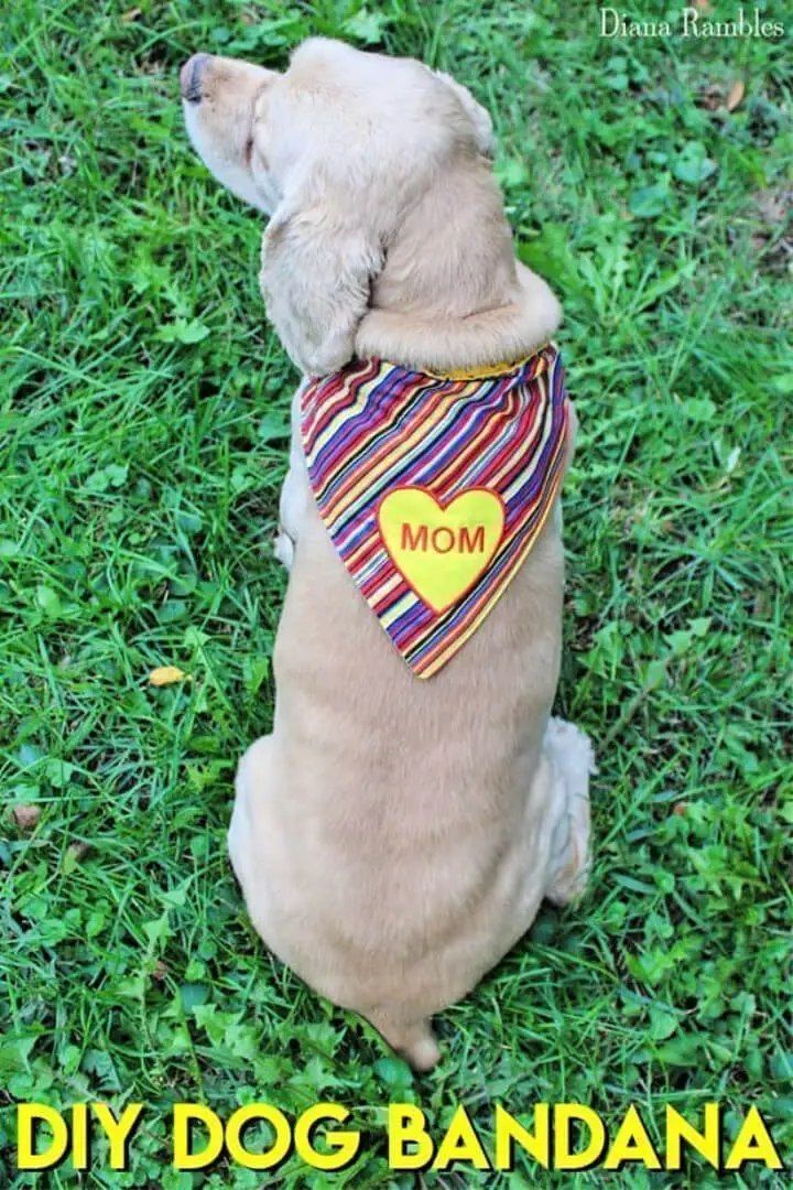 DIY Personalized Dog Bandana