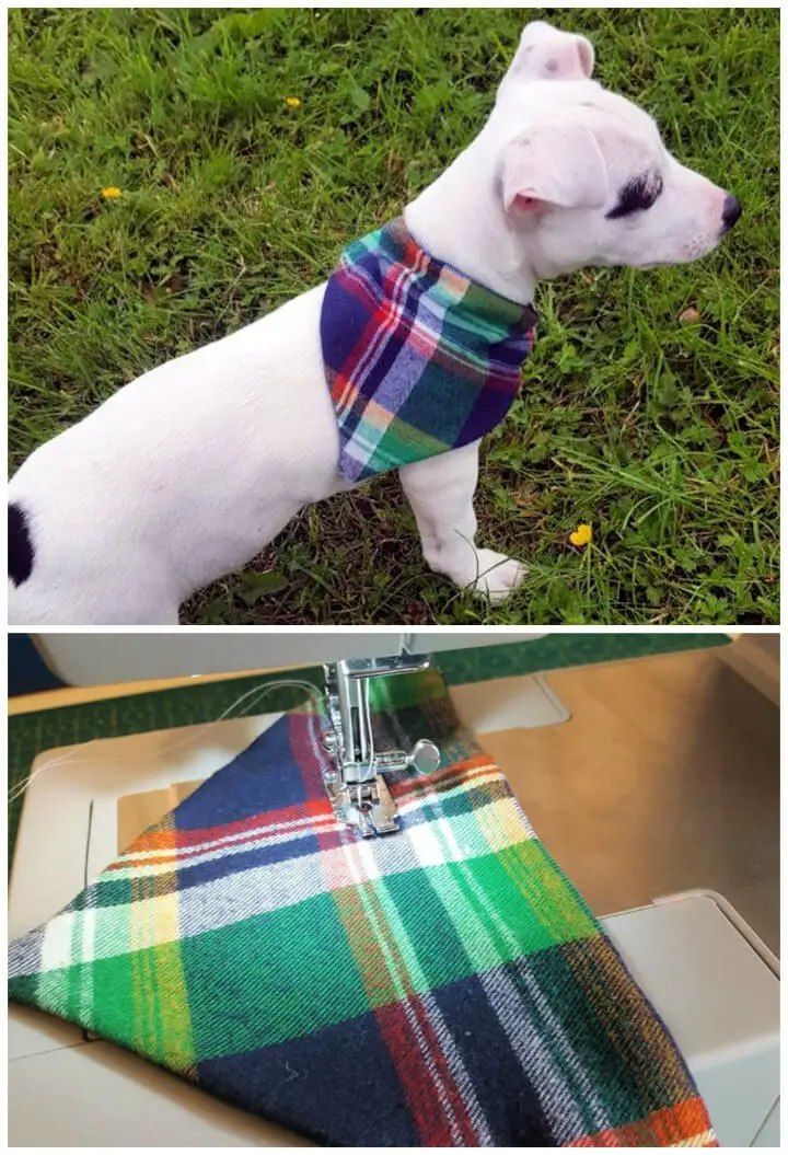 DIY Reversible Pet Bandana