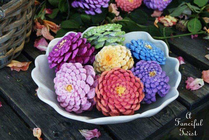 Zinnia Flowers from Pine Cones