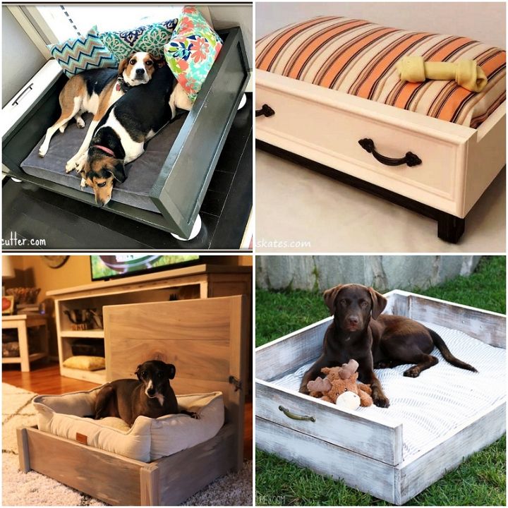 20 Cheap Dog Beds That You Can DIY At Home