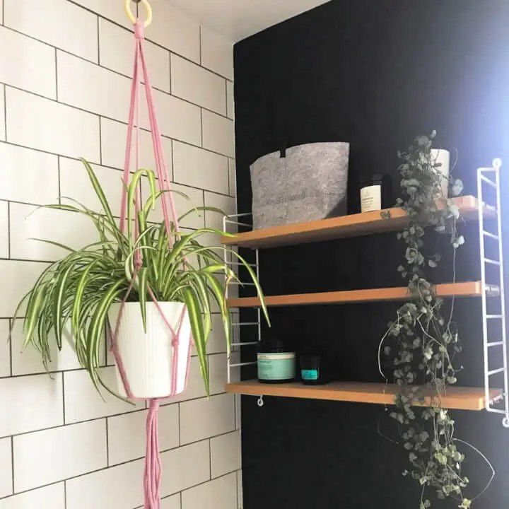 How to Make a Macrame Plant Hanger