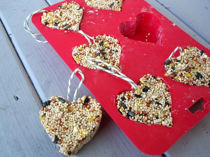 Valentines Day Crafts Natural DIY Bird Feeders