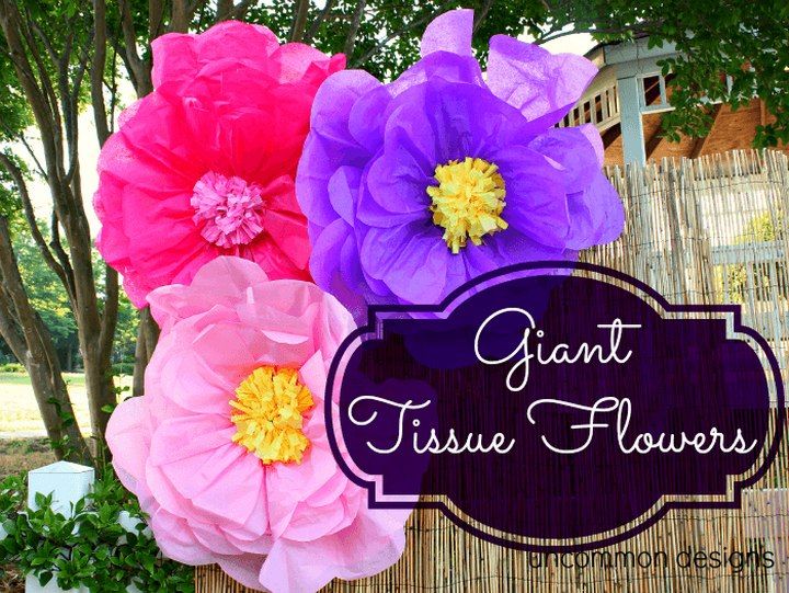 Giant Tissue Paper Flowers