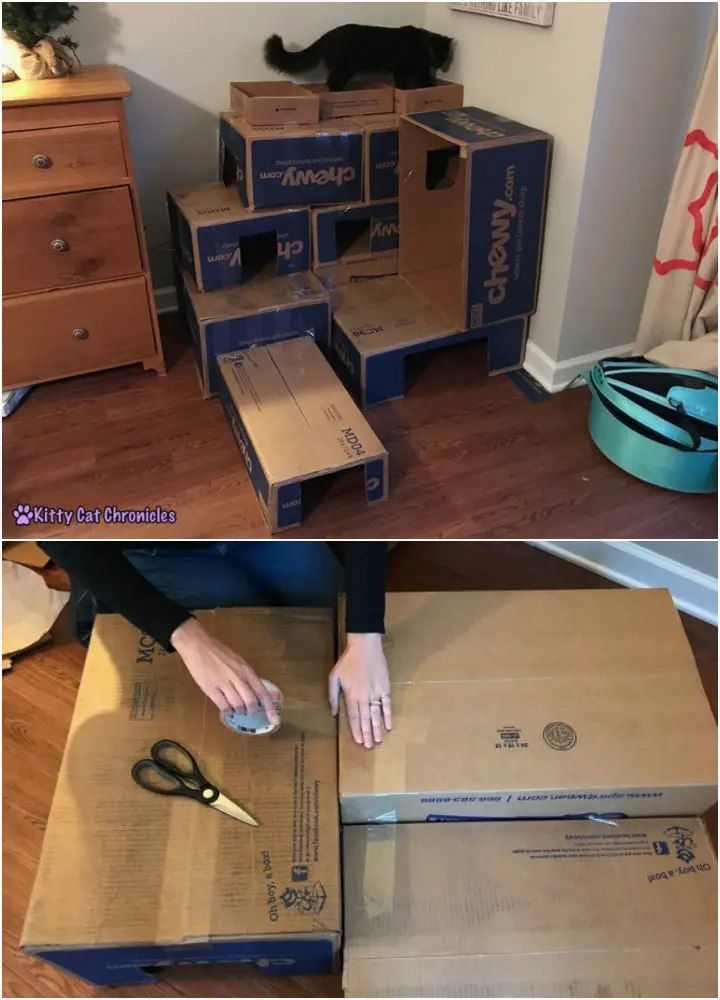 Cardboard Box Fort for Your Cat