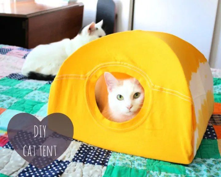 Covered Cat Tent Bed