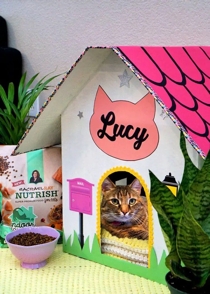 Cute Cardboard Cat House Plan