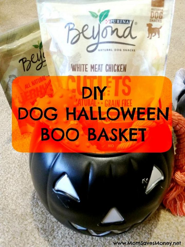 DIY Halloween Dog Boo Basket