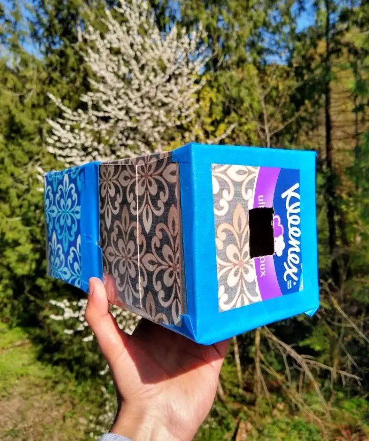 DIY Tissue Box Camera Obscura