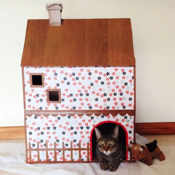 Easy DIY Small Cat House