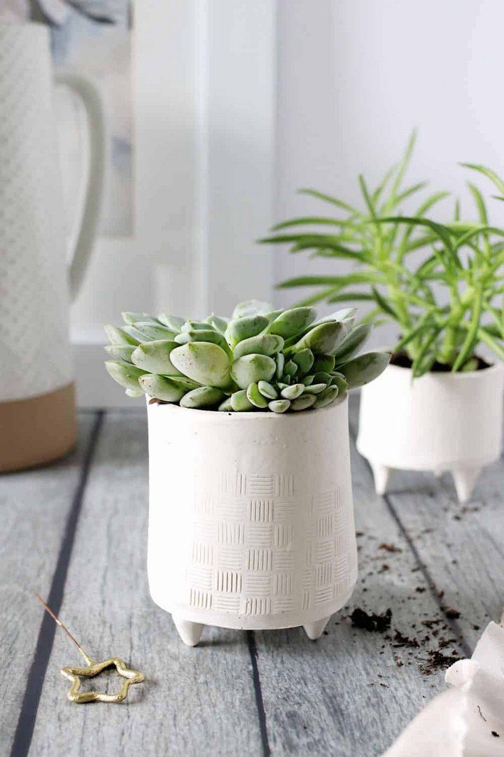 Gorgeous Giftable Succulent Planters