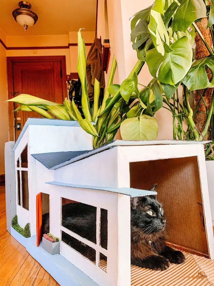 Indoor Cardboard Cat House