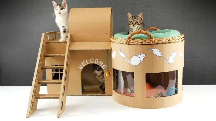 Kitten Cat Pet House from Cardboard