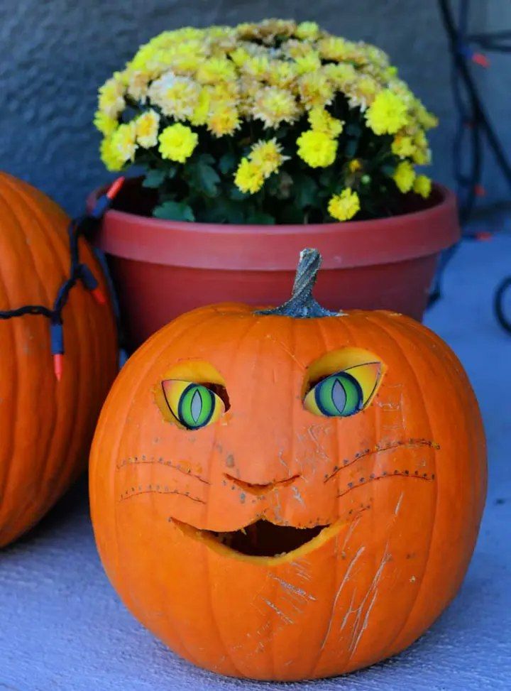 Kitty Carved Pumpkin for Kids