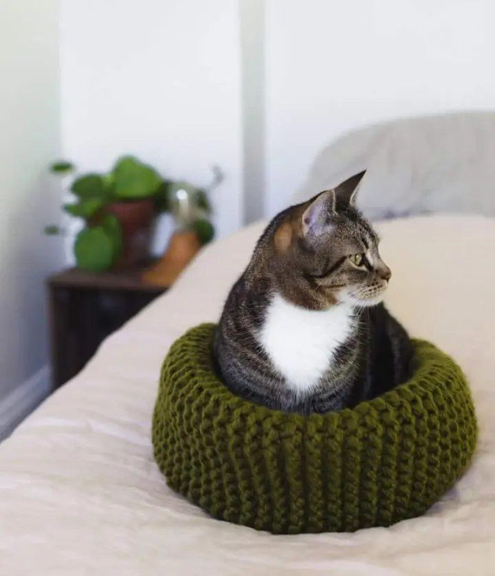 Knit Cat Bed