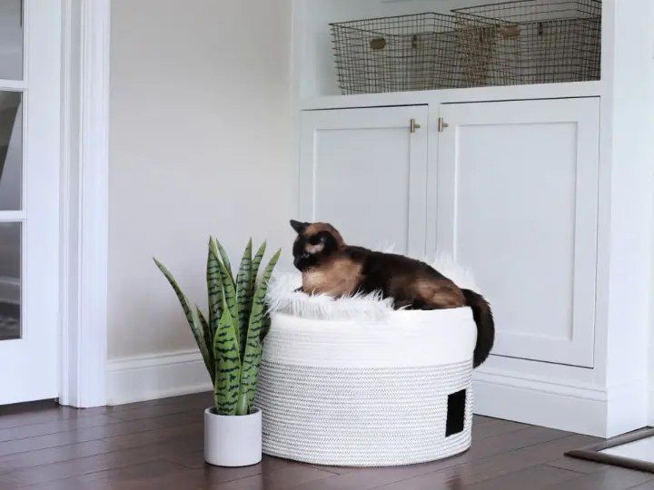 Large Cat Bed from Basket