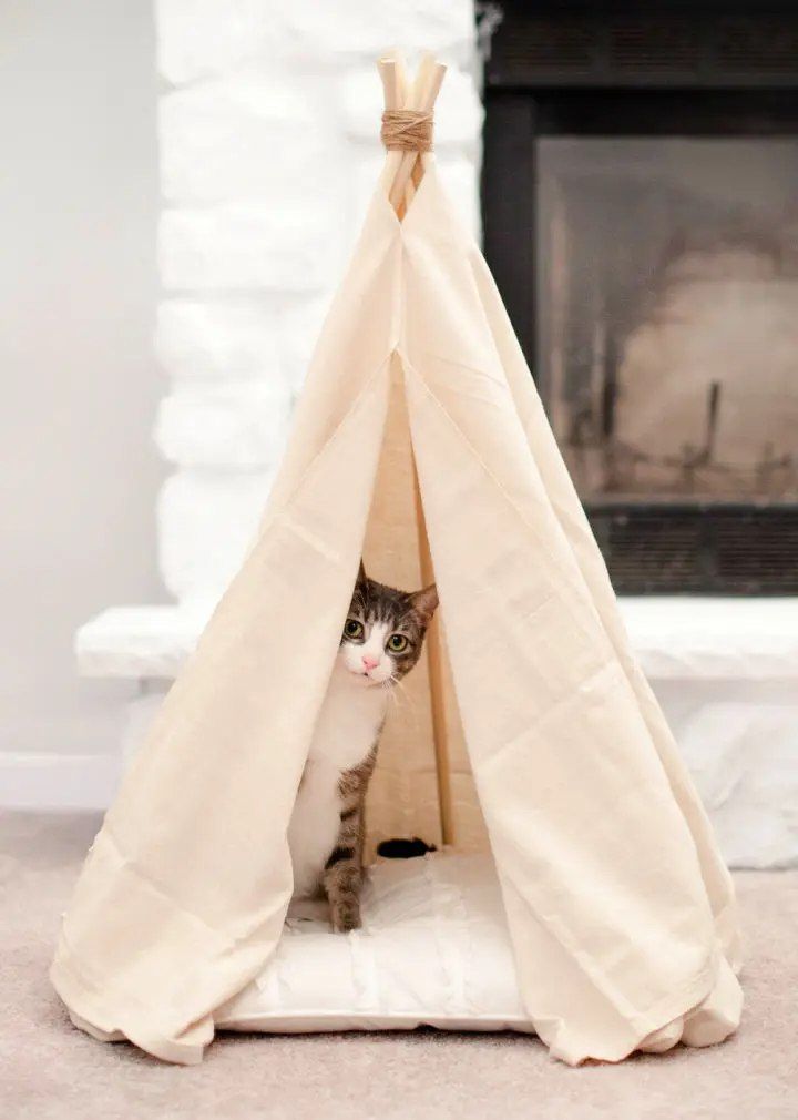 No Sew Pet Teepee Bed