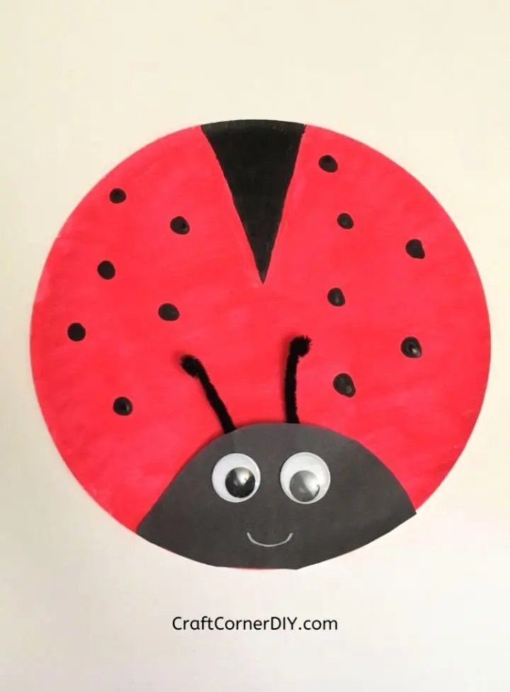 Paper Plate Ladybug for Kids
