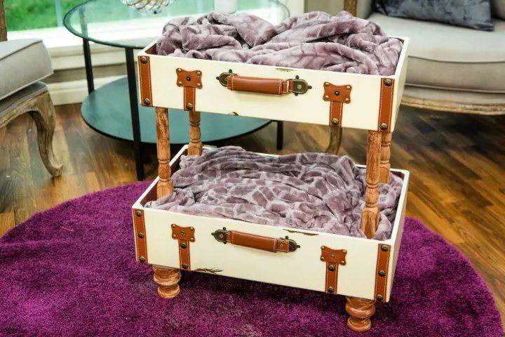 Unique Cat Suitcase Bunk Bed