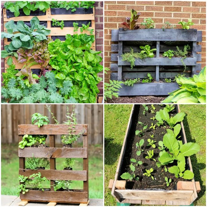 22 Best Pallet Garden Ideas To DIY Susie Harris