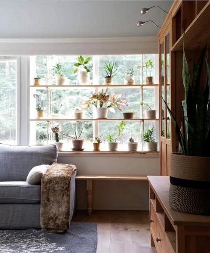 Hanging Plant Shelves