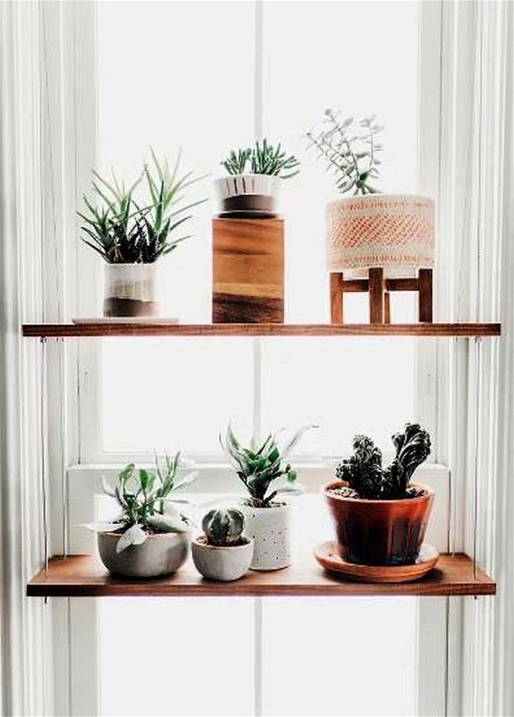 Simple DIY Hanging Plant Shelf