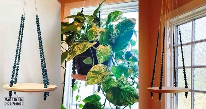 Simple DIY Hanging Plant Shelfs